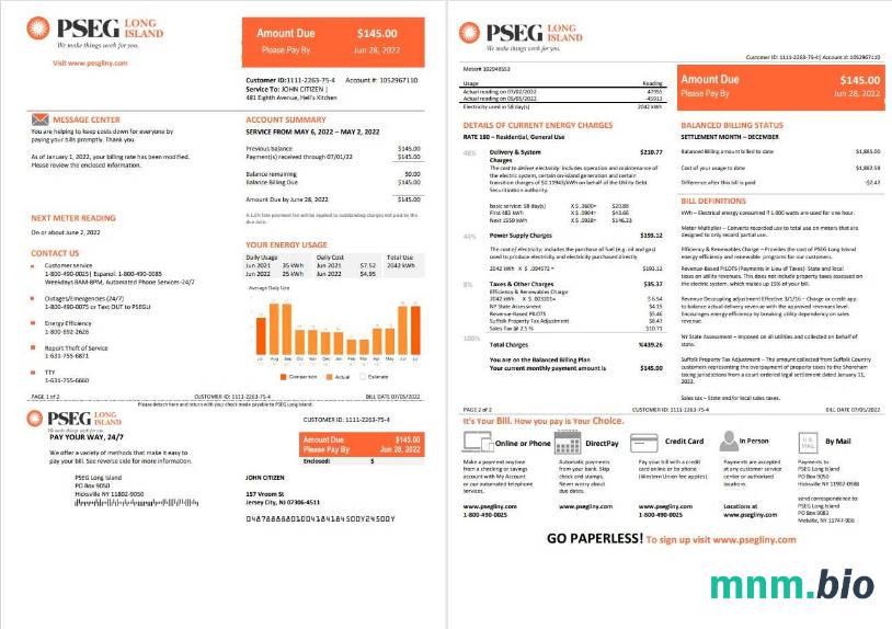 Szablon rachunku za energię elektryczną w USA New Jersey PSEG w formacie Word i PDF, 2 strony